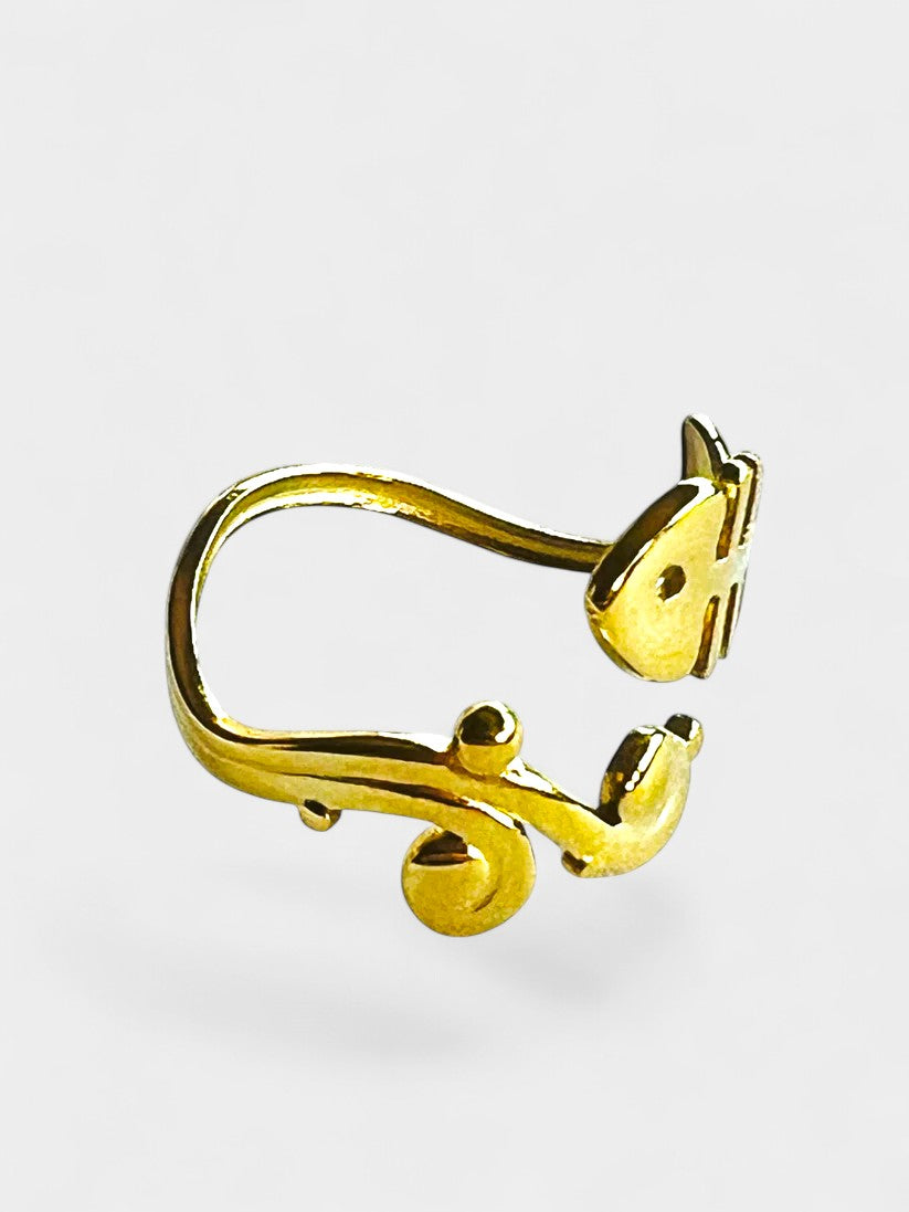 Anillo Raspa de la Marea