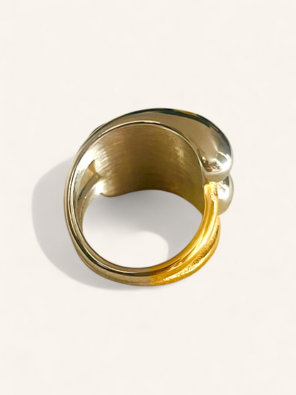 Anillo Dualix